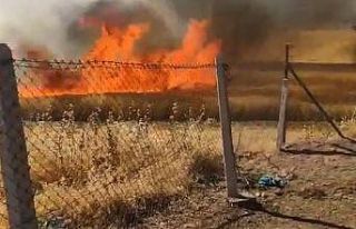 Buğday tarlasında çıkan yangını köylüler söndürdü