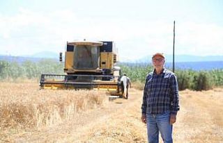 Buğday ve arpa Milas’ta çiftçinin yüzünü güldürdü