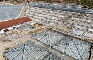 Bunaltıcı sıcaklar 3 bin yıllık "Kemah tuzu"na...