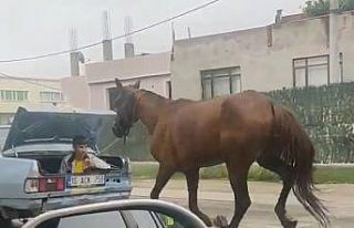 Bursa’da aracın arkasına at bağlayıp koşturan...