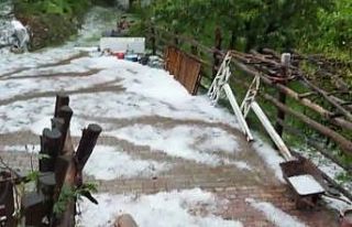 Bursa’da kestane ağaçları doludan zarar gördü