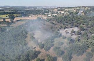 Bursa’da orman yangını