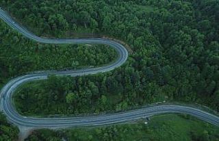 Bursa’da ormanların görüntüsü büyüledi