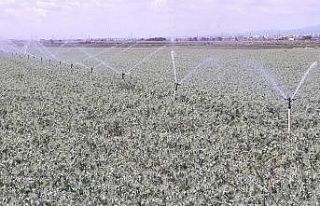 Bursa’da sulama sezonu başladı