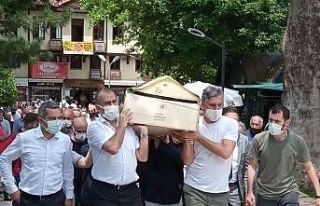 Bursalı Ressam hayatını kaybetti