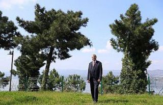 Büyükşehir dokundu, İl Ormanı’nın çehresi...