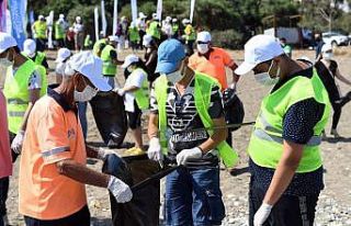 Büyükşehirden carettaların yuvalama alanında...