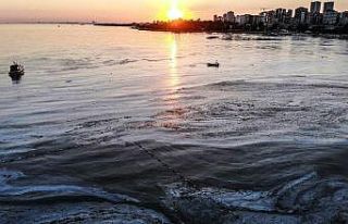 Caddebostan Sahili müsilaj istilası altında