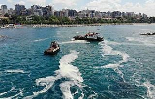 Caddebostan Sahili’nde deniz salyası temizliği...