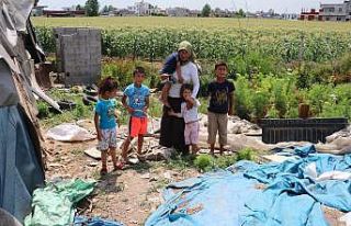 Çadırda yaşayan tarım işçisi aileye 7 bin lira...