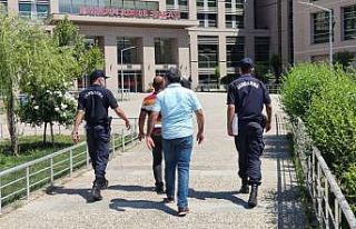 Çalıştıkları şirkette hırsızlık yaptılar