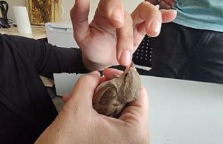 Cama vurup düşen serçeye parmağı ile su verdi,...