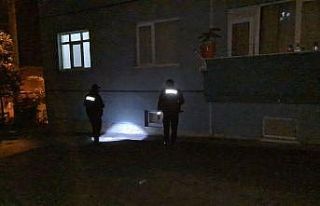 Camdan aşağı düştüğünü kimse fark etmedi
