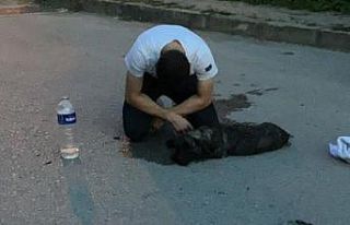 Can dostunun başında dakikalarca ağladı