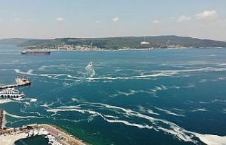 Çanakkale Boğazı’nda 1 haftada 198 metreküp...