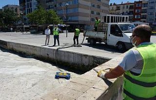 Çanakkale Boğazı’nda bugün de müsilaj temizliği...