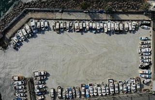 Çanakkale Boğazı’nda müsilaj kabusu sürüyor