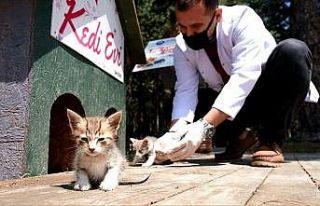 Canik can dostlarına sahip çıkıyor