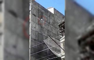 Çatıda mahsur kalan köpek yedinci kattan atladı