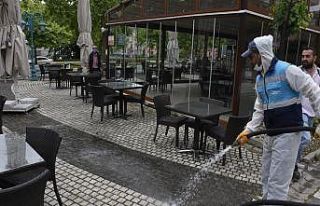 Çay bahçeleri yaza hazırlandı