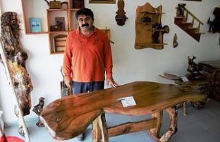 Ceviz ağacından çıktı, fiyatı yarım milyondan...