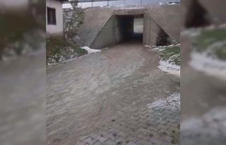 Ceviz büyüklüğünde dolu ekinlere zarar verdi