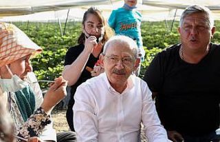 CHP Genel Başkanı Kılıçdaroğlu Aydın’da çilek...