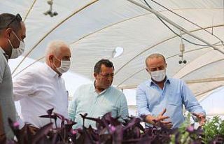 CHP’li milletvekilleri Didim Belediyesi serasında...