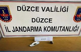 Çiçekçide bonzai operasyonu