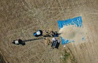 Çiftçilerin zorlu hasat telaşı