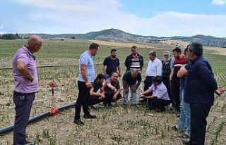 Çorum’da tarım alanlarını dolu vurdu