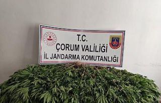 Çorum’da uyuşturucu operasyonu