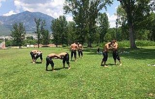 Çorum’lu pehlivanları Kırkpınar’a hazırlanıyorlar