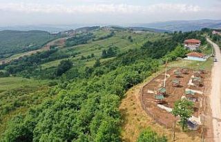 Çubuklubala seyir terasında sona gelindi