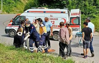 D-650 karayolunda iki otomobil çarpıştı: 3 yaralı