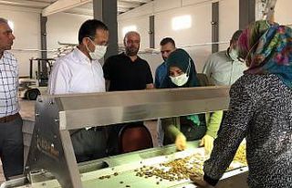 Dağtekin, OSB’de incelemelerde bulundu