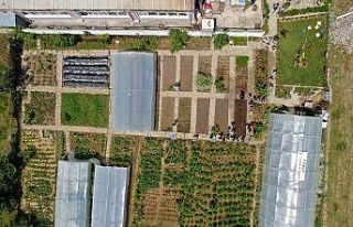 Daha önce hiç böyle bir köy okulu görmediniz