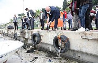 Darıca sahilinde deniz salyası seferberliği başladı