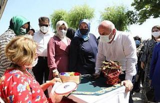 Darıcalı kadınlara ücretsiz hanımeli pazarı...