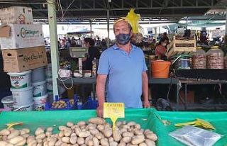 Datça’da patates üreticisi dertli