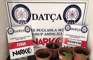 Datça’da uyuşturucu baskını