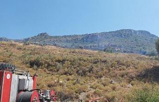 Datça’da ziraat yangını