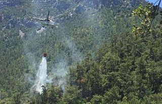 Datça’daki orman yangını kontrol altına alındı