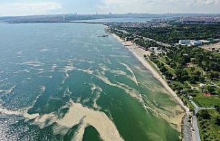 Deniz salyası bu kez Bakırköy kıyılarını sardı