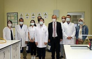 Deniz salyası yaralara merhem olacak