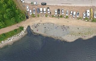 Deniz salyasının sardığı İzmit Körfezi’nde...