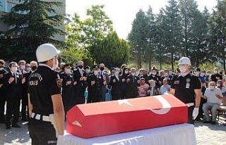 Denizli şehidini bekliyor