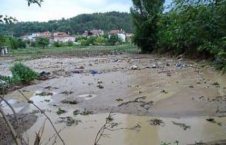 Dereler taştı, tarım arazileri sular altında kaldı