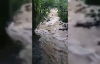 Devrek’te sel bahçe ve seraları vurdu