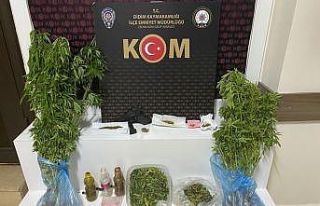 Didim’de hint keneviri operasyonu